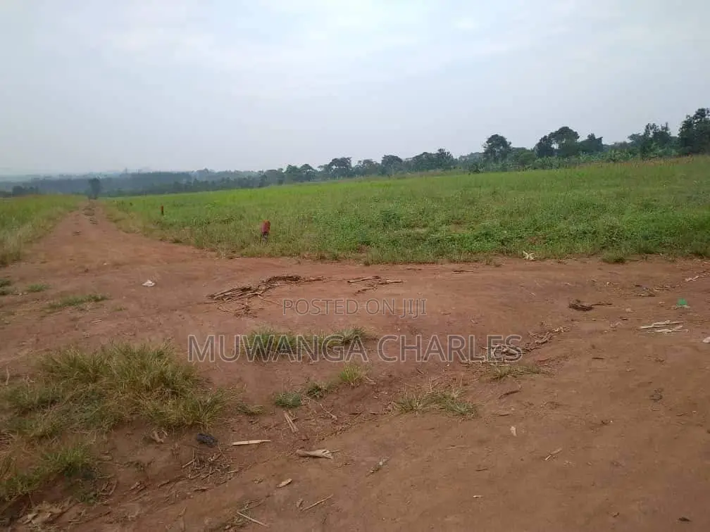 Plot's Available for Sale at Busiika in Luwero / Luwero