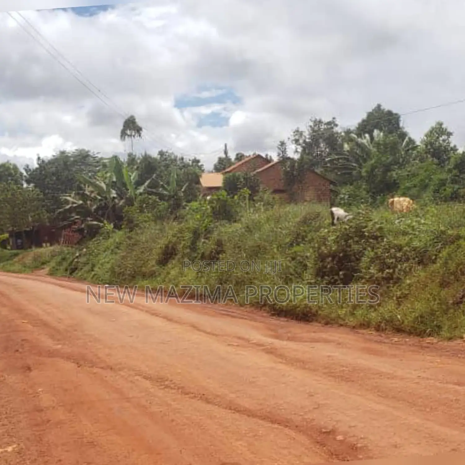 Commercial Plot Measuring Dire in Division A
