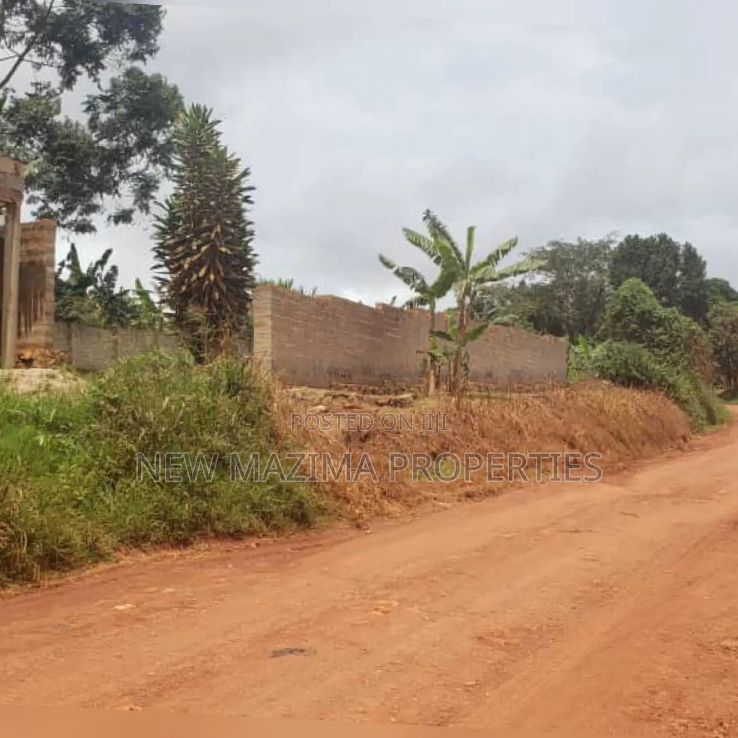 Commercial Plot Measuring Dire in Division A