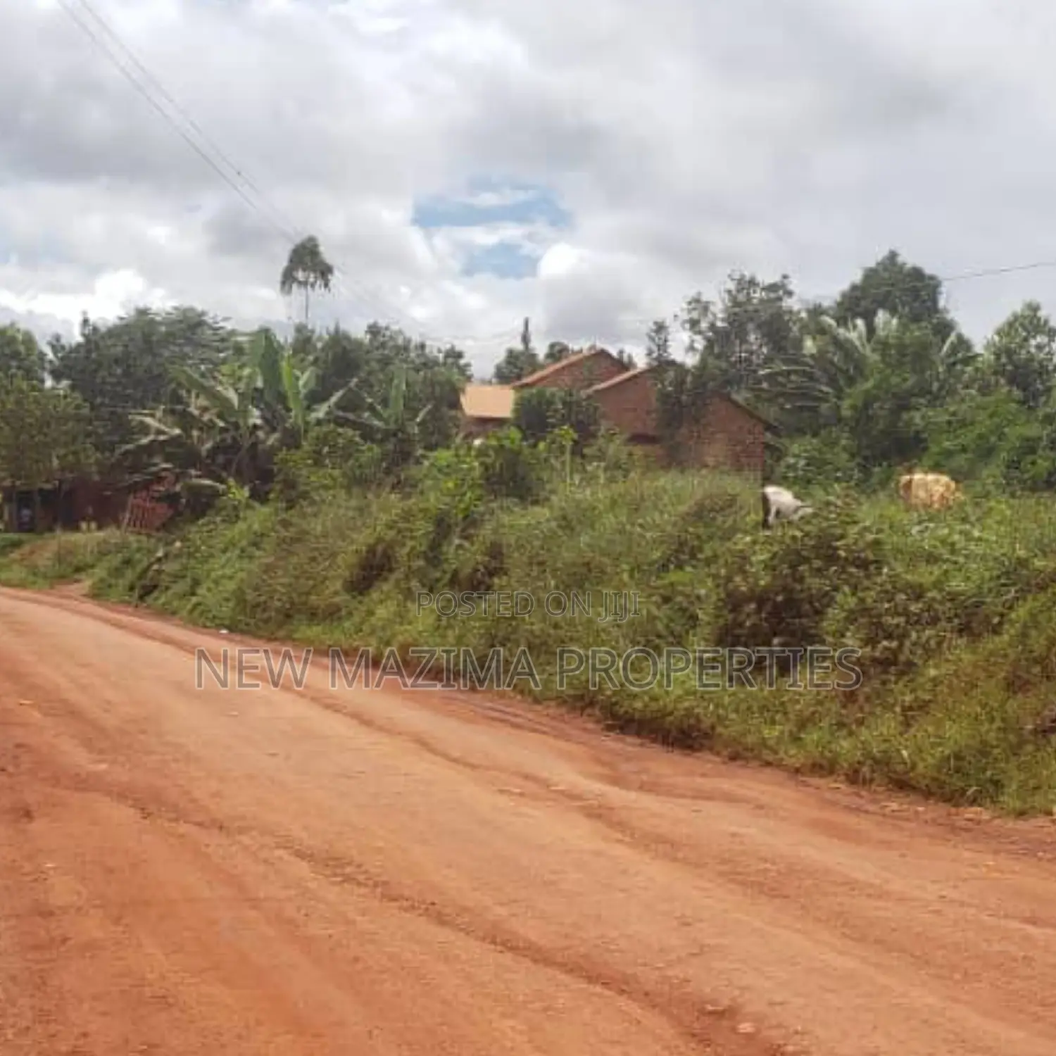 Commercial Plot Measuring Dire in Division A