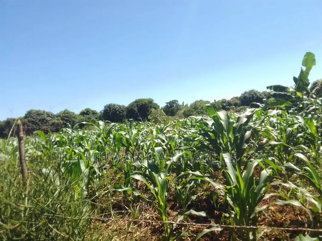 5acres of Land for Sale in Buwambo in Wakiso / Wakiso