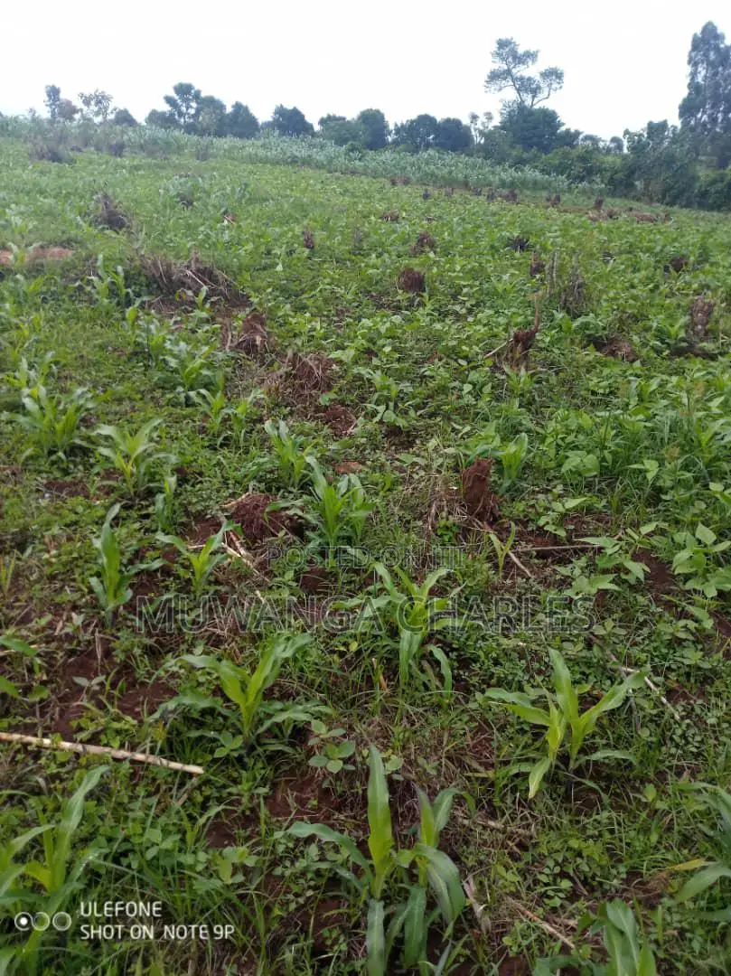 Plot's for Sale in Kira in Wakiso / Wakiso