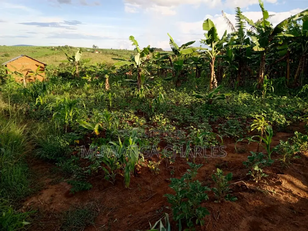 Plot's for Sale in Kira in Wakiso / Wakiso