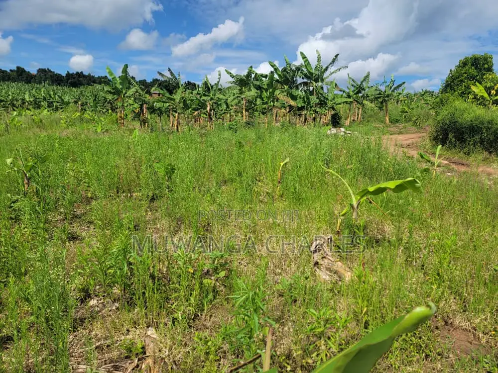 Plot's for Sale in Kira in Wakiso / Wakiso