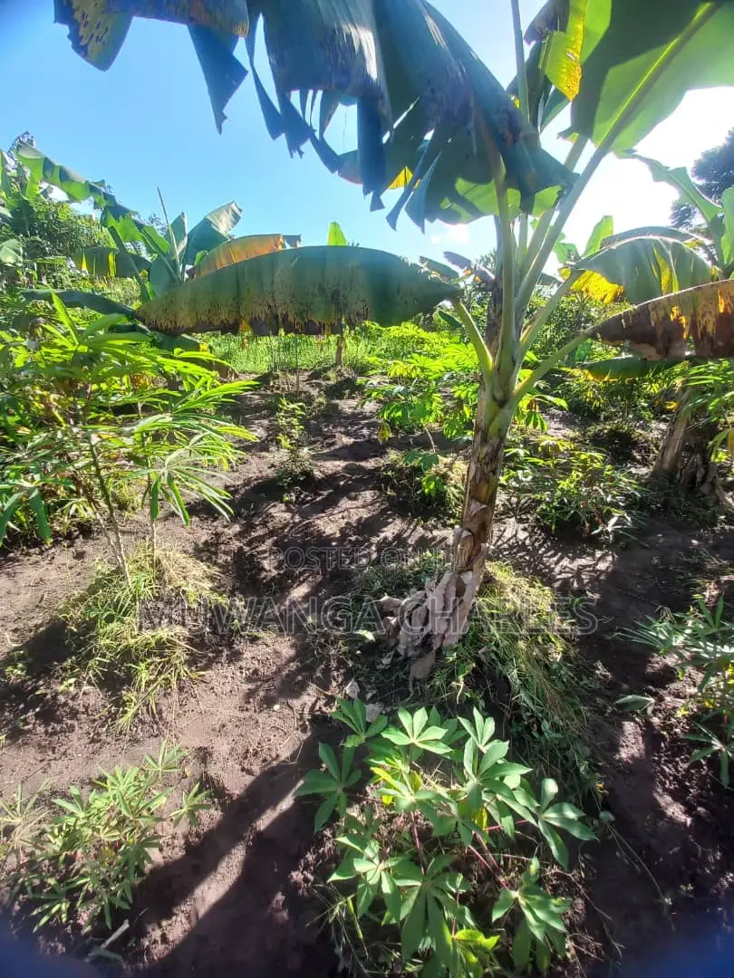 Plot's for Sale in Kimwanyi in Wakiso / Wakiso