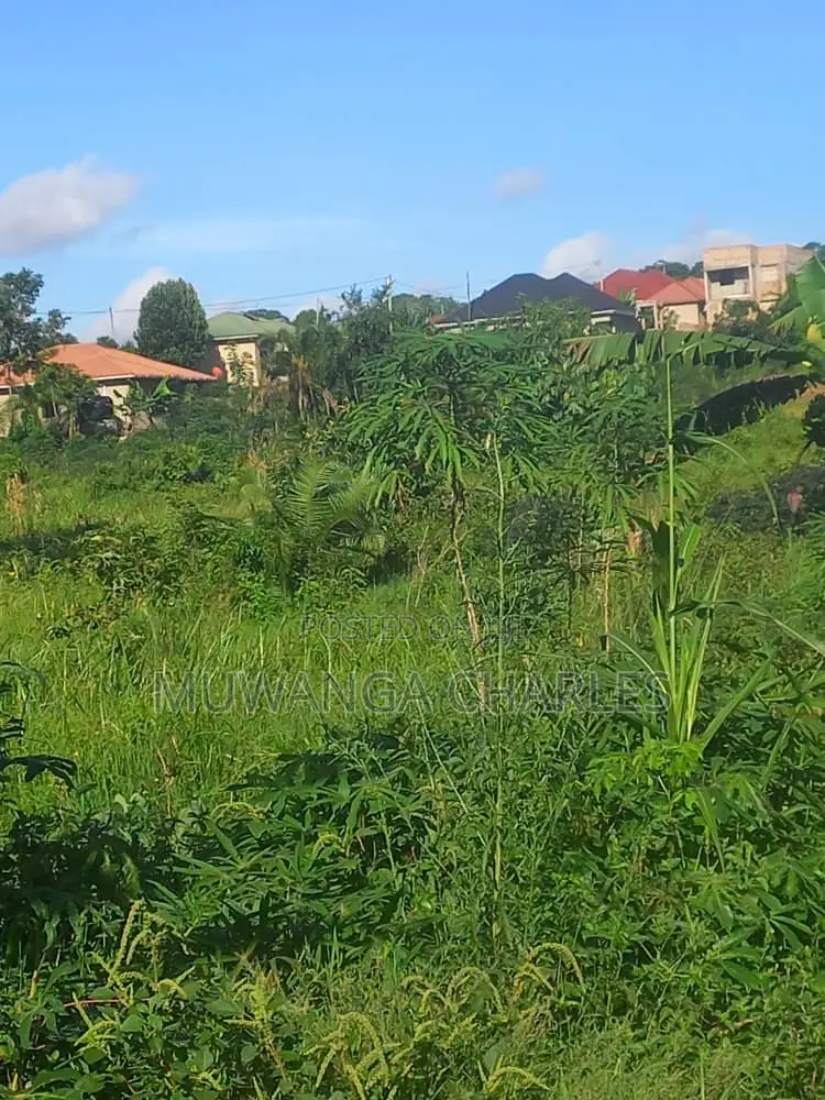 Plot's for Sale in Kimwanyi in Wakiso / Wakiso