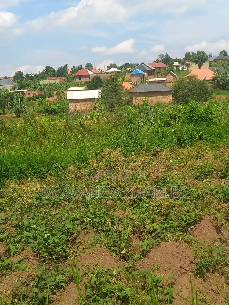 Plot's for Sale in Kimwanyi in Wakiso / Wakiso