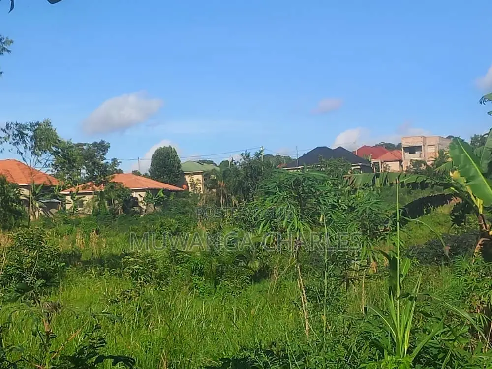 Plot's for Sale in Kimwanyi in Wakiso / Wakiso