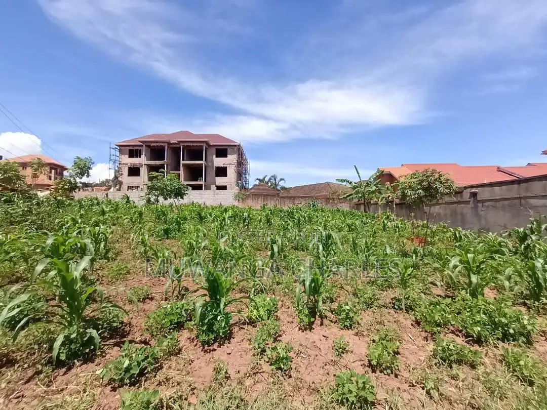100by50ft Plot of Land for Sale in Kyanja in Nakawa