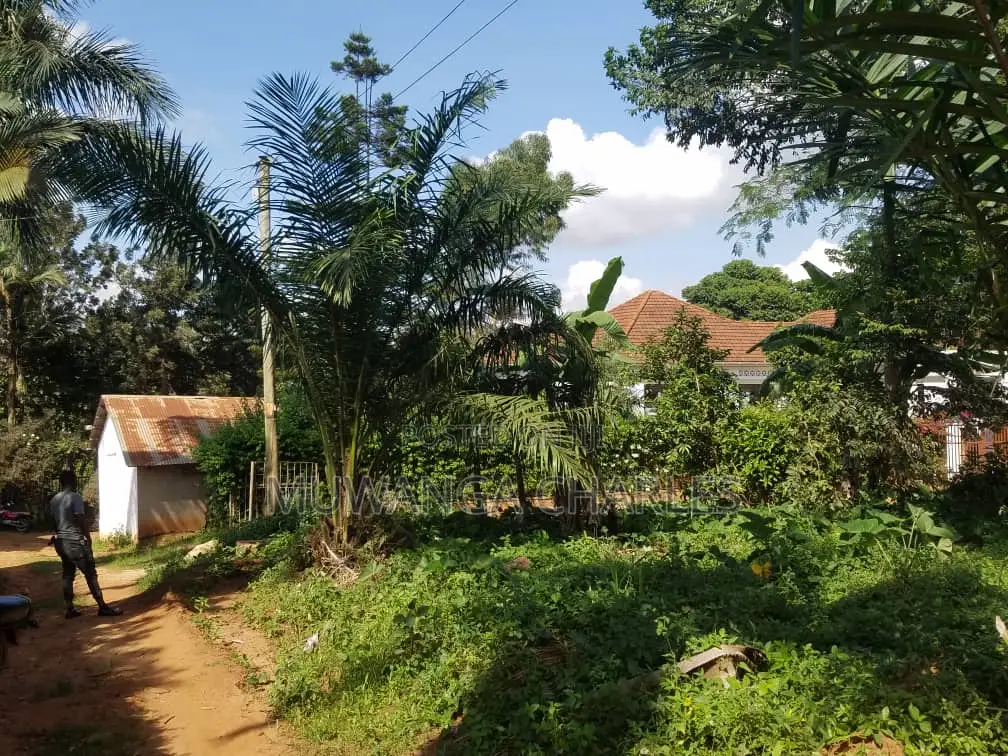 100by100ft Plot for Sale in Kira in Kira