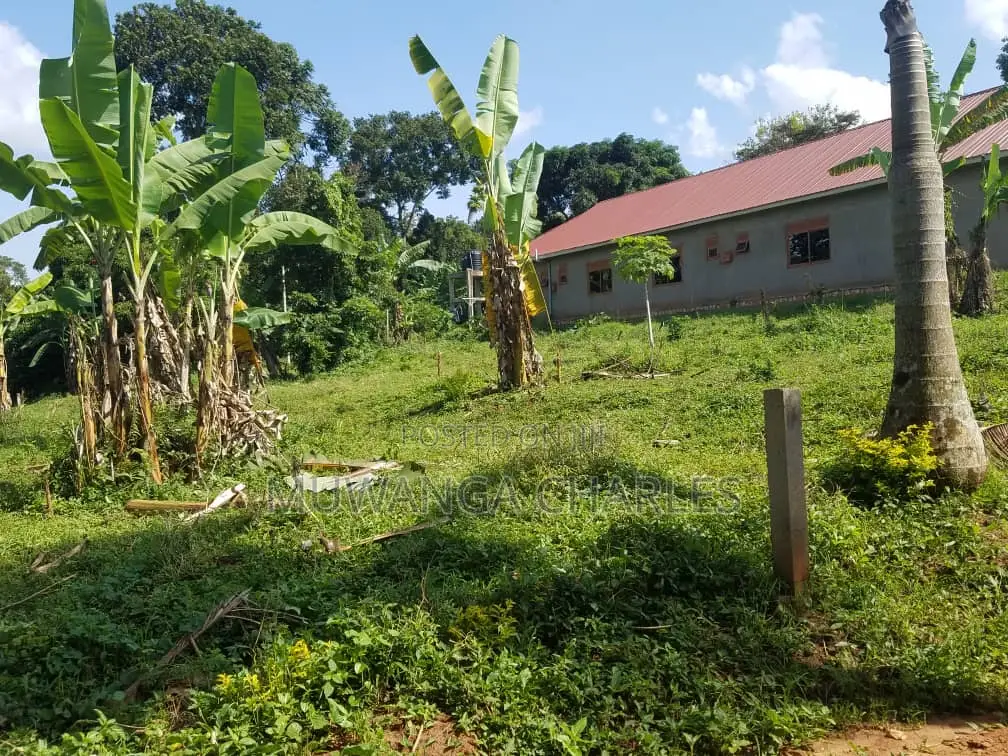 100by100ft Plot for Sale in Kira in Kira