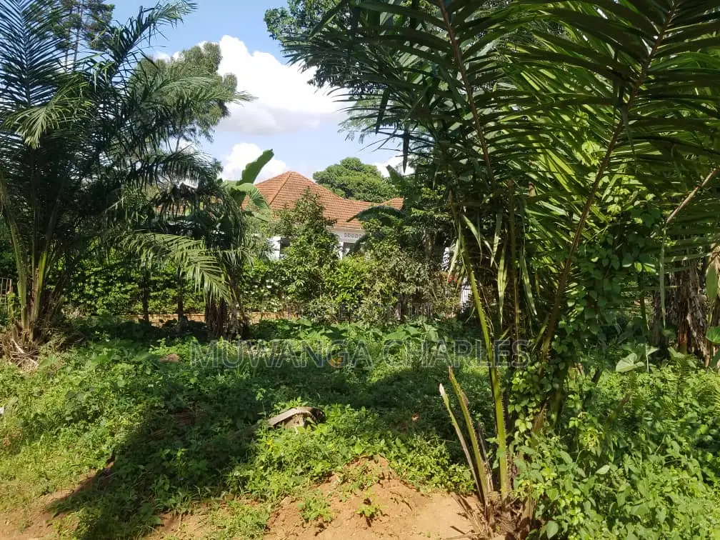 100by100ft Plot for Sale in Kira in Kira