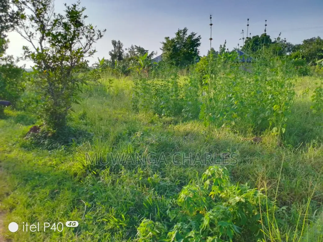 3acres of Land for Sale in Busiika in Luwero TC