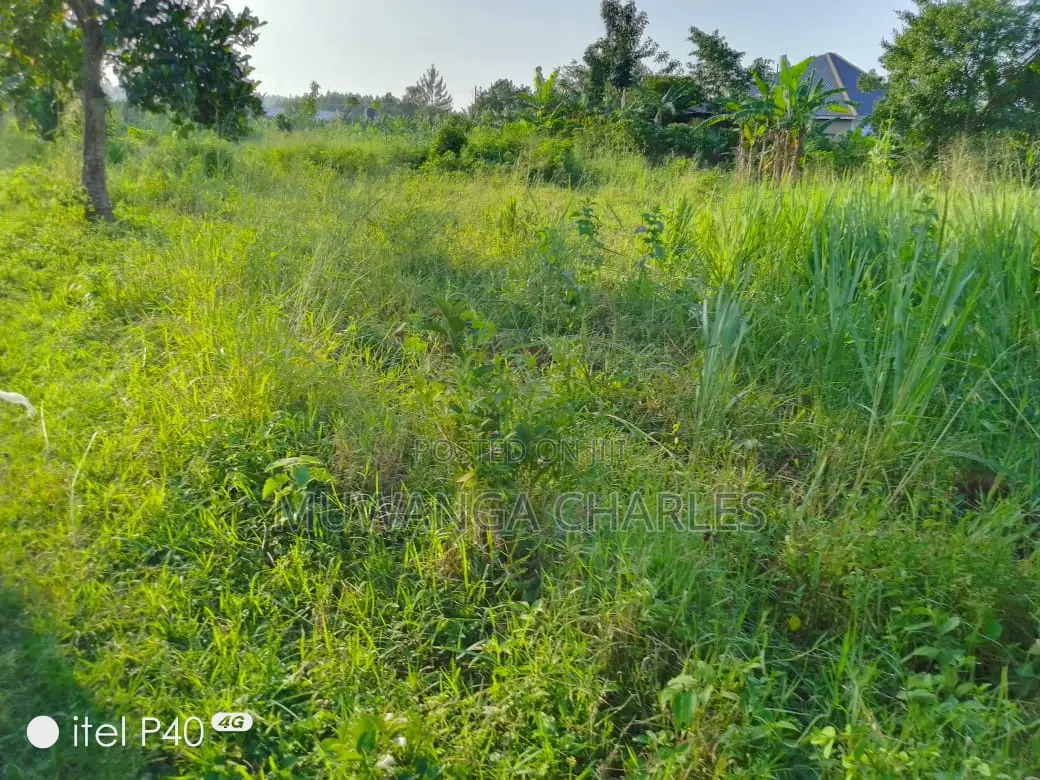 3acres of Land for Sale in Busiika in Luwero TC