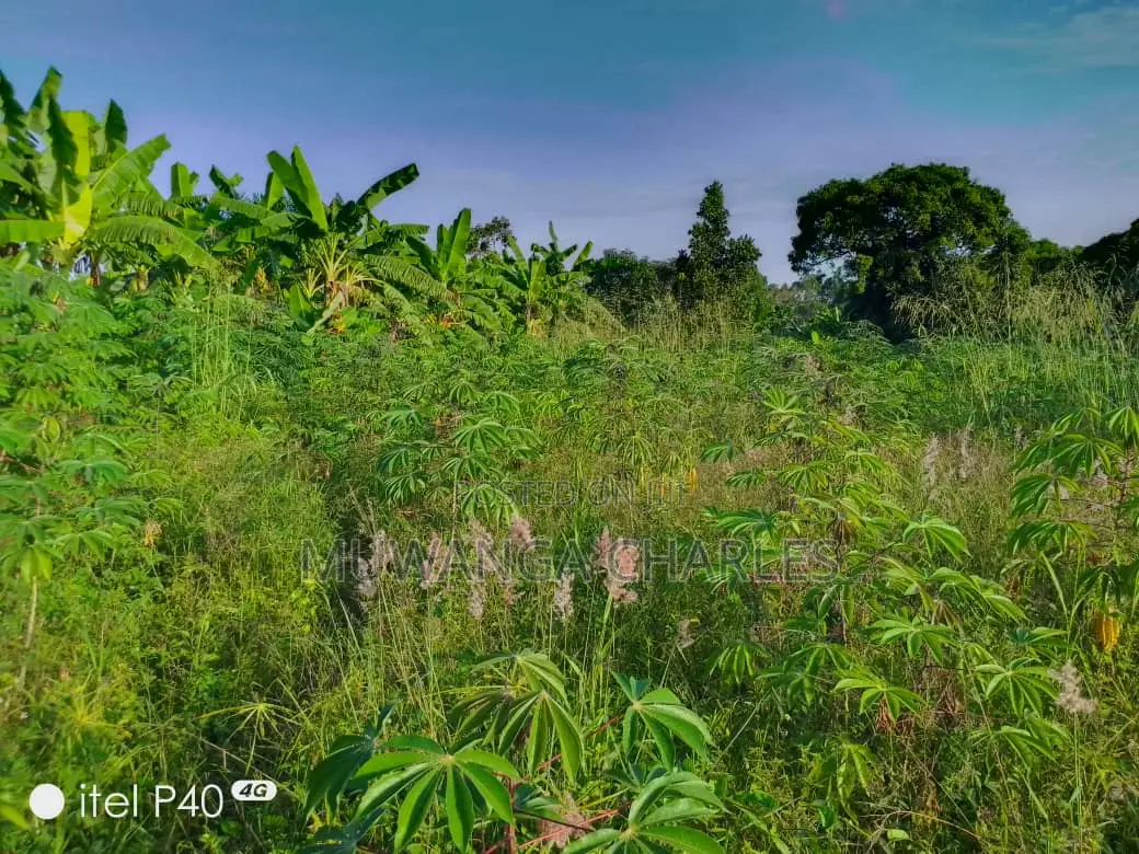 2acres of Land for Sale in Wabutungulu in Luwero TC
