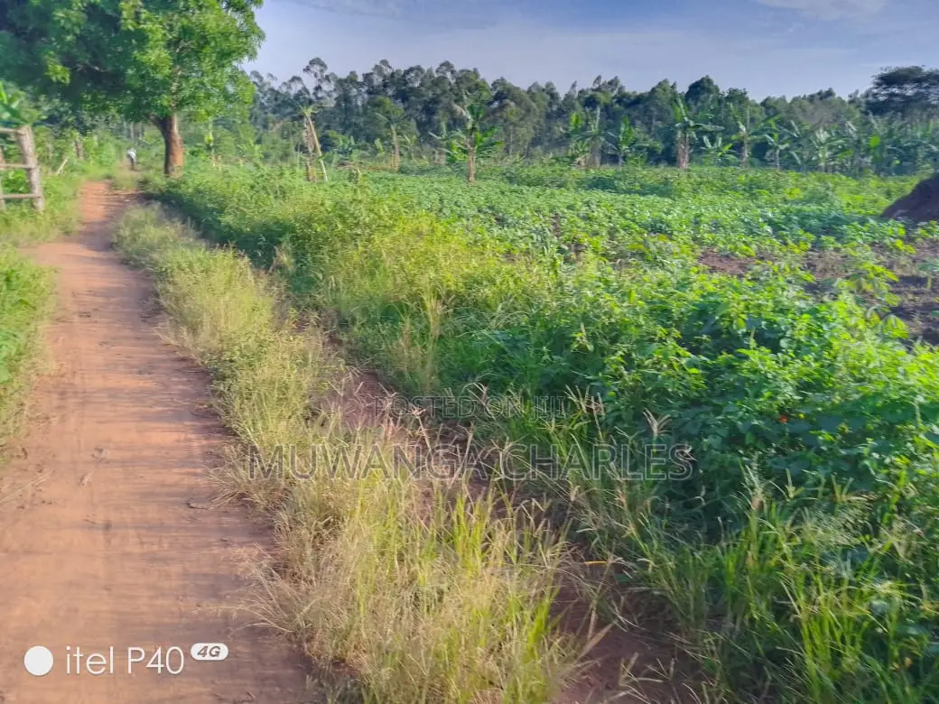 2acres of Land for Sale in Wabutungulu in Luwero TC