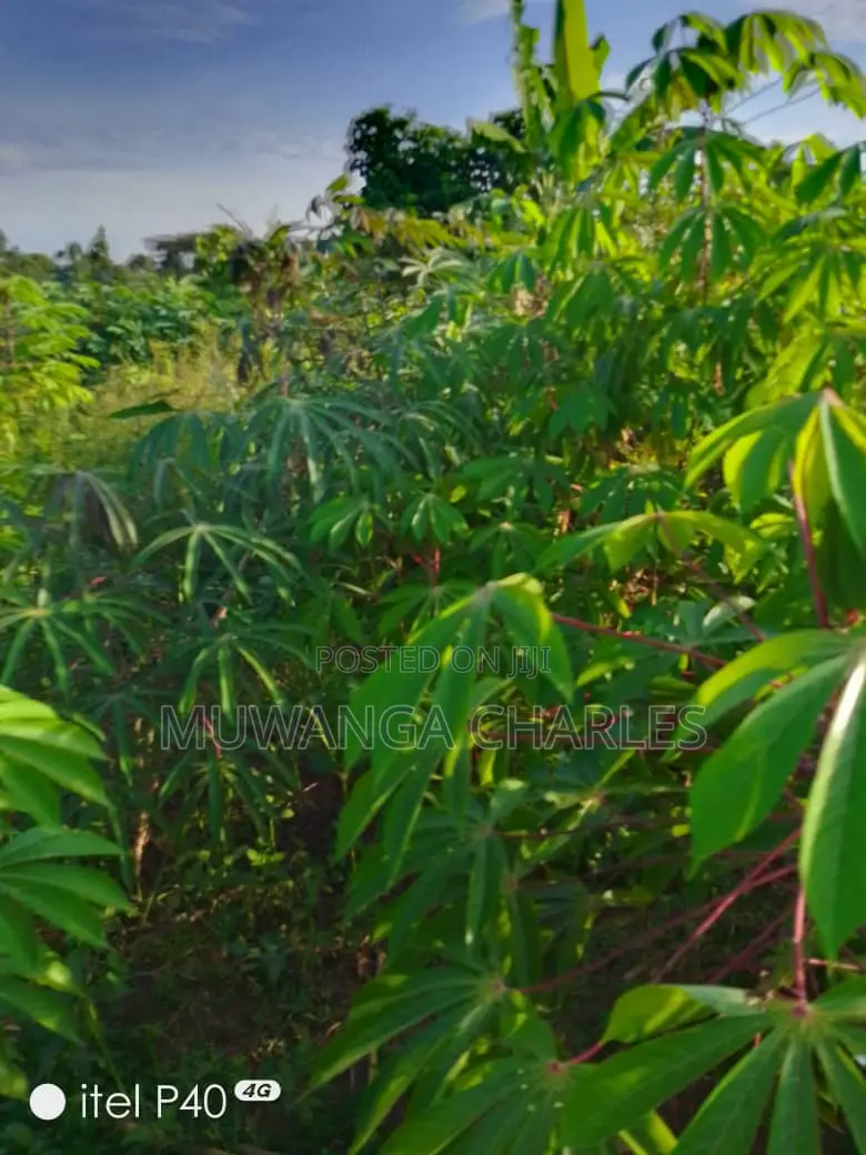 2acres of Land for Sale in Wabutungulu in Luwero TC