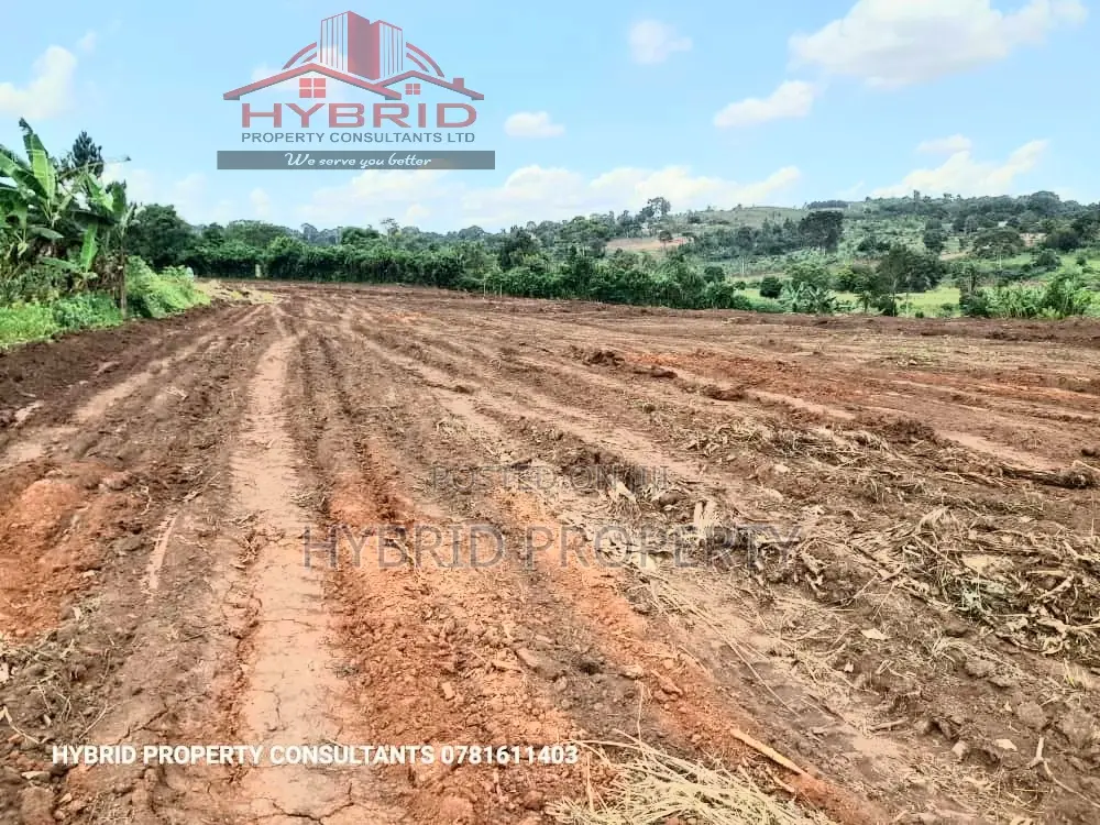 Prime Plots For Sale At Busukuma~Nabutiti Along Gayaza Road. in Busukuma