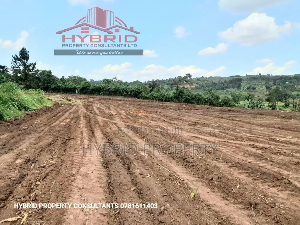 Prime Plots For Sale At Busukuma~Nabutiti Along Gayaza Road. in Busukuma