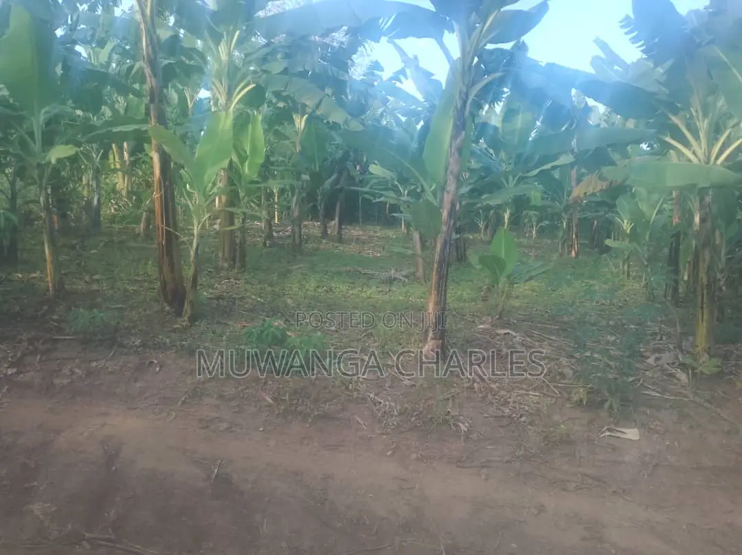 Plot for Sale at Entebbe in Katabi
