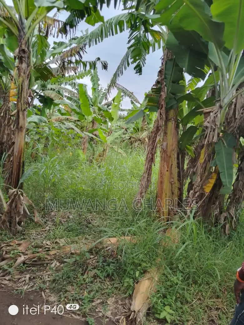 Plot for Sale at Entebbe in Katabi