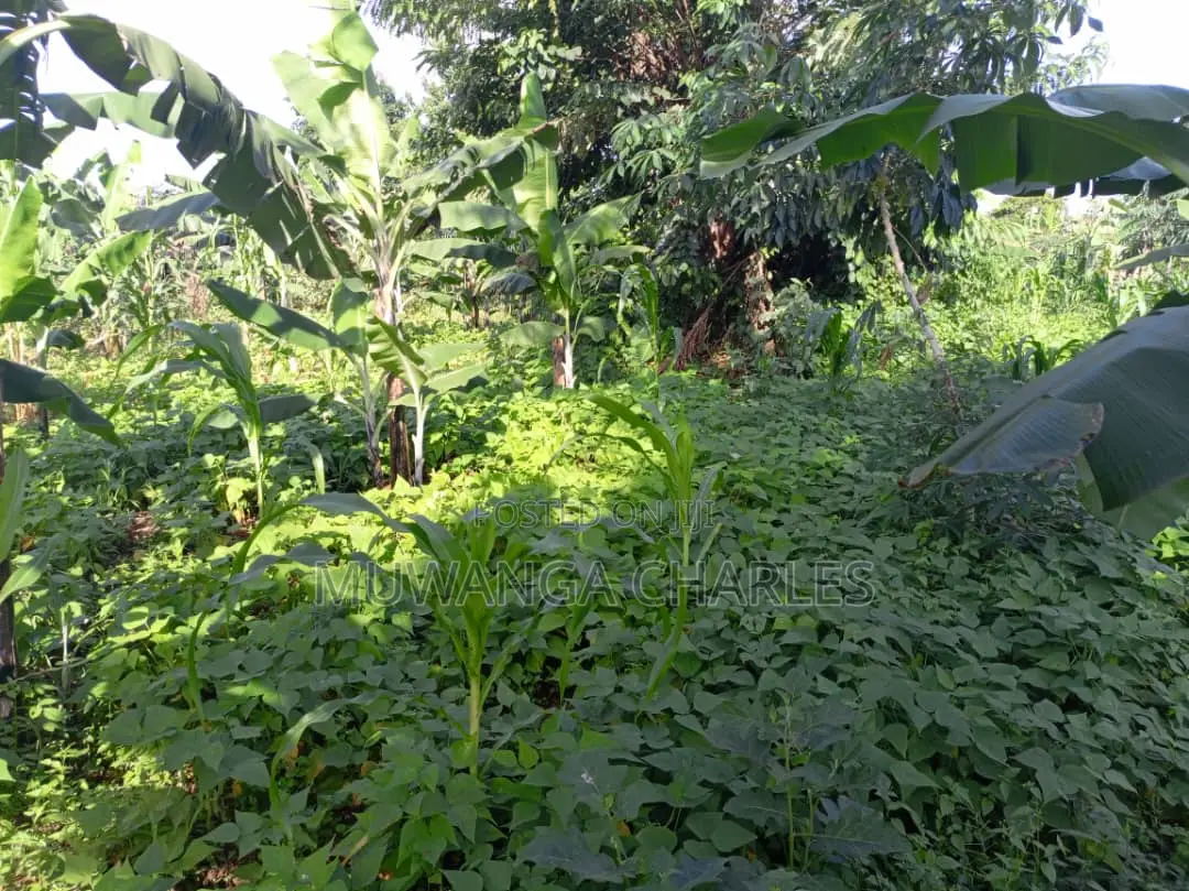 2acres of Land for Sale in Luwero in Luwero TC