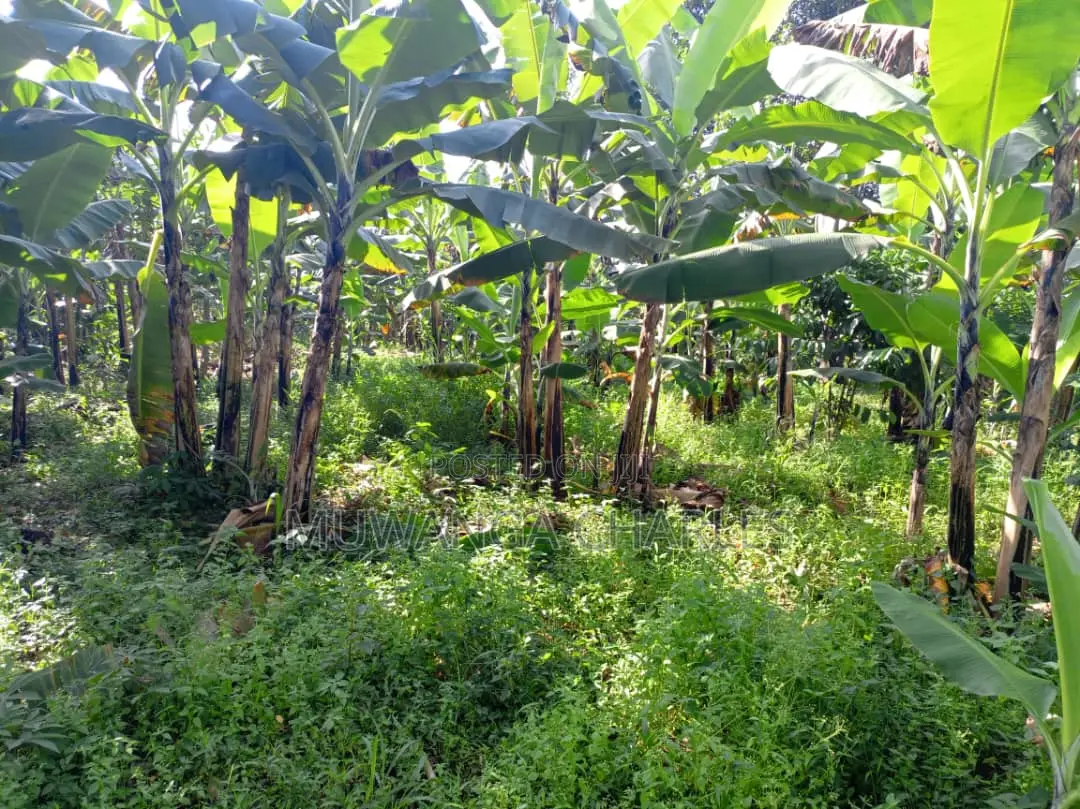 2acres of Land for Sale in Luwero in Luwero TC