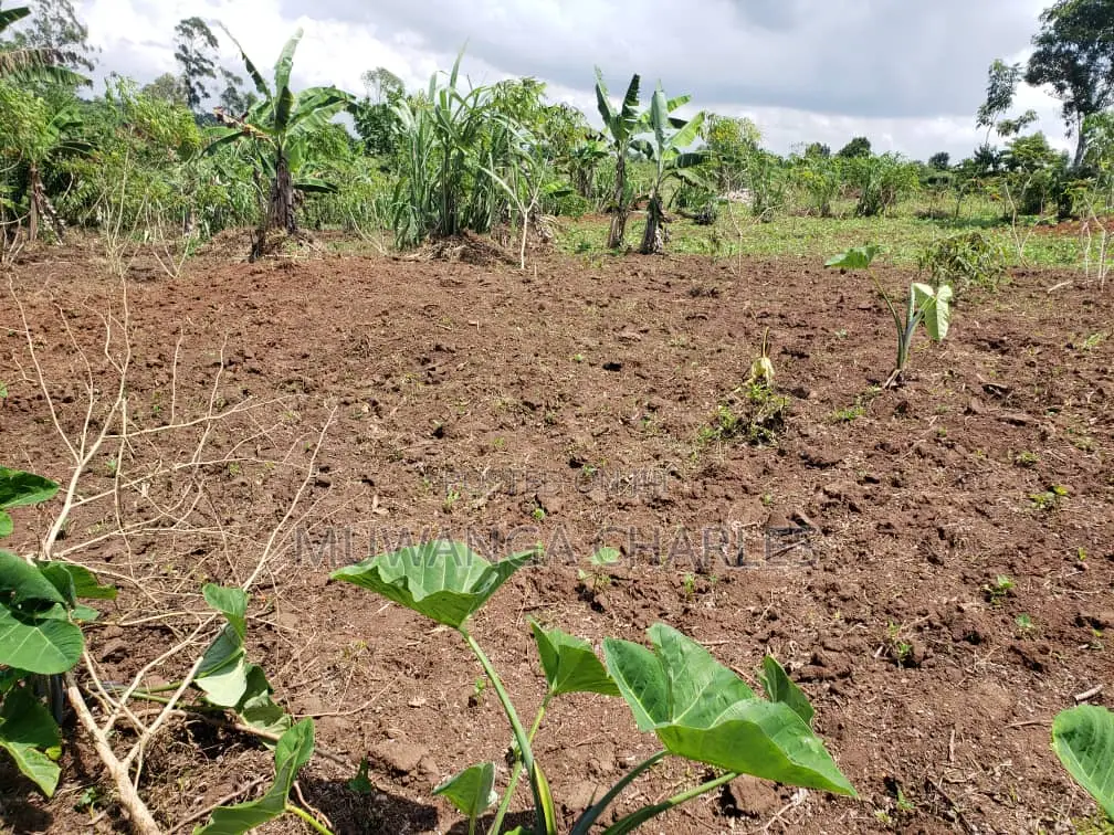 Namugongo Plot for Sale in Wakiso / Wakiso