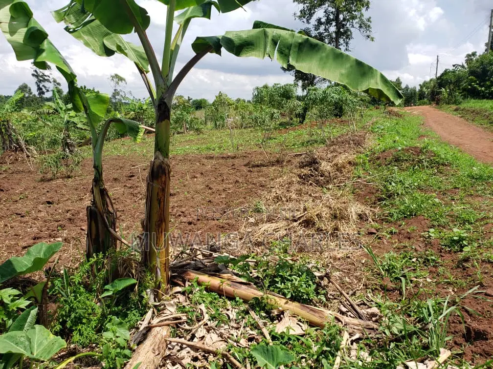 Namugongo Plot for Sale in Wakiso / Wakiso