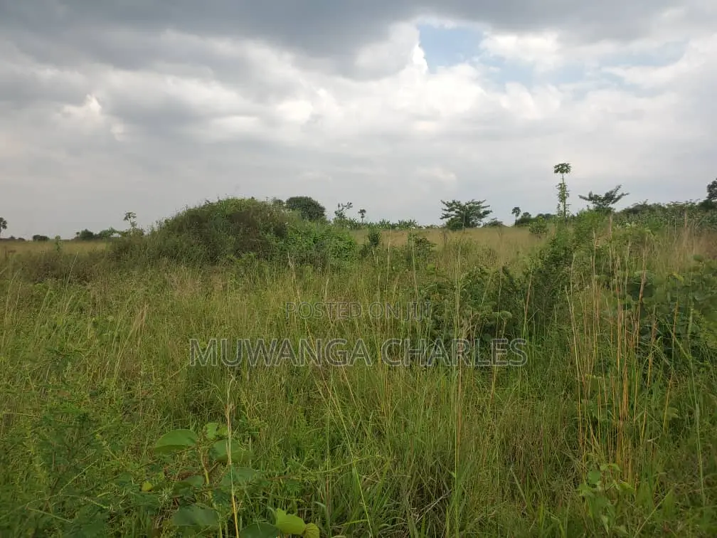 Land for Sale in Nakasongola in Division B