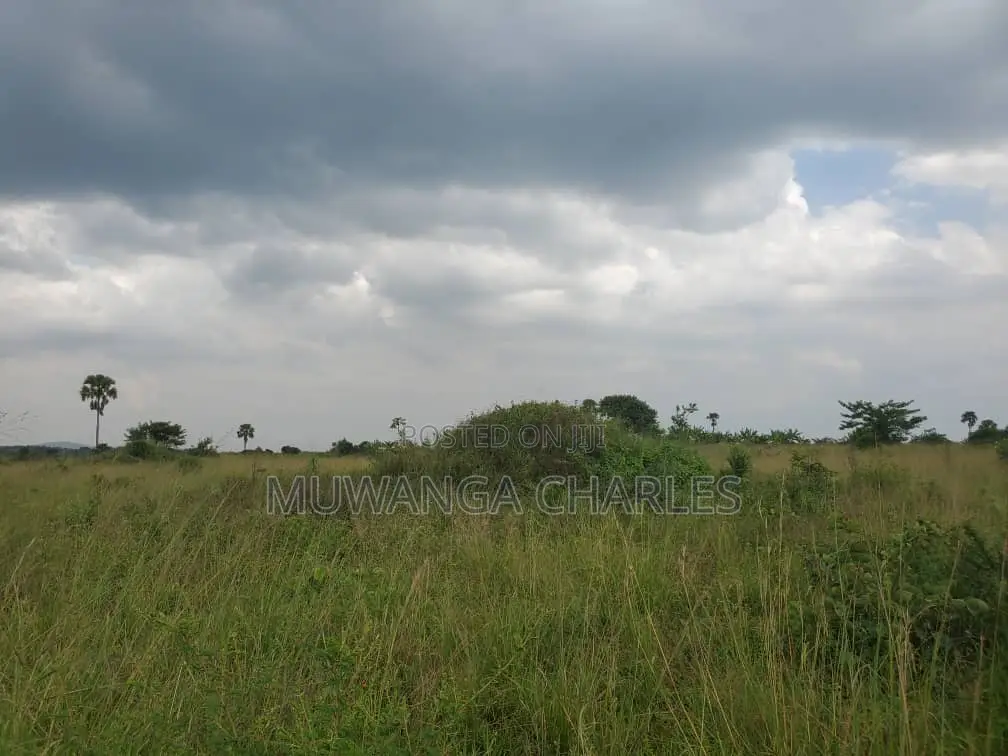 Land for Sale in Nakasongola in Division B