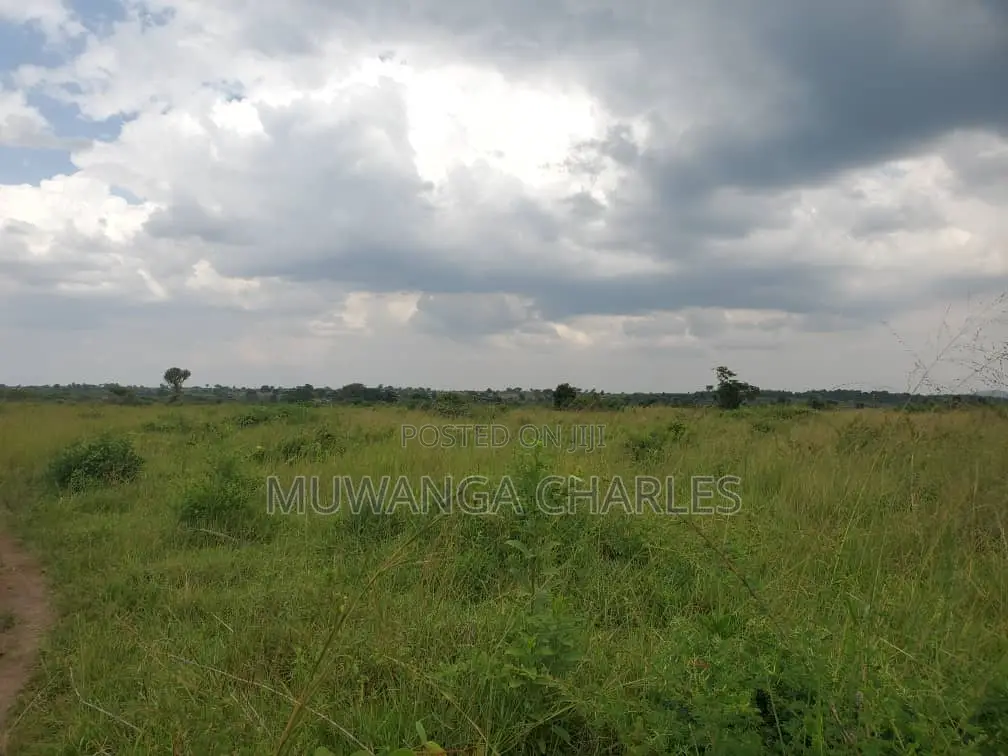 Land for Sale in Nakasongola in Division B