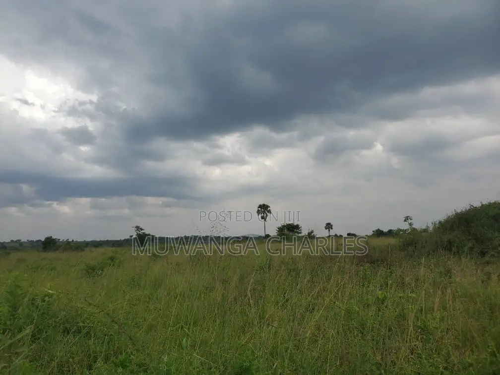 Land for Sale in Nakasongola in Division B