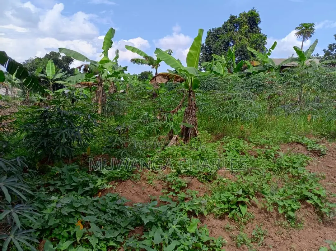 30decimals of Land for Sale at Matuuga in Division B