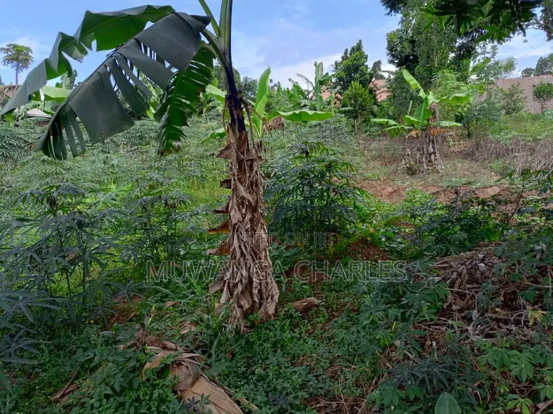 30decimals of Land for Sale at Matuuga in Division B