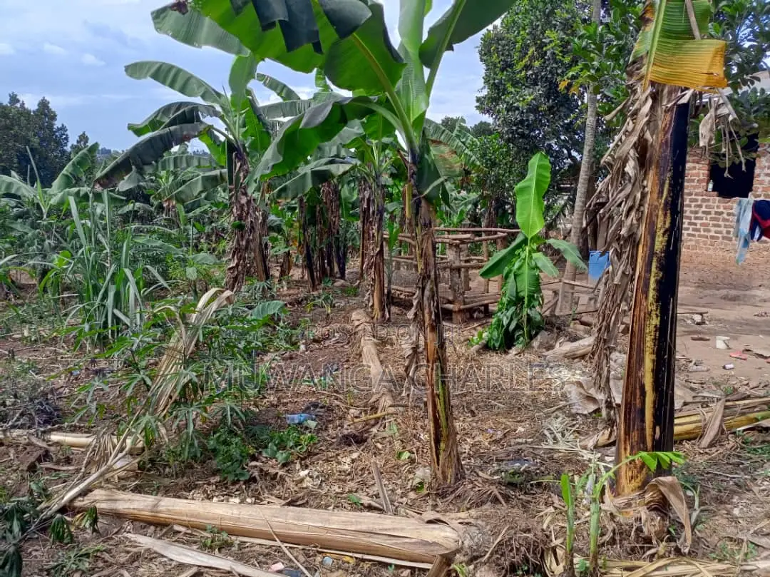 30decimals of Land for Sale at Matuuga in Division B