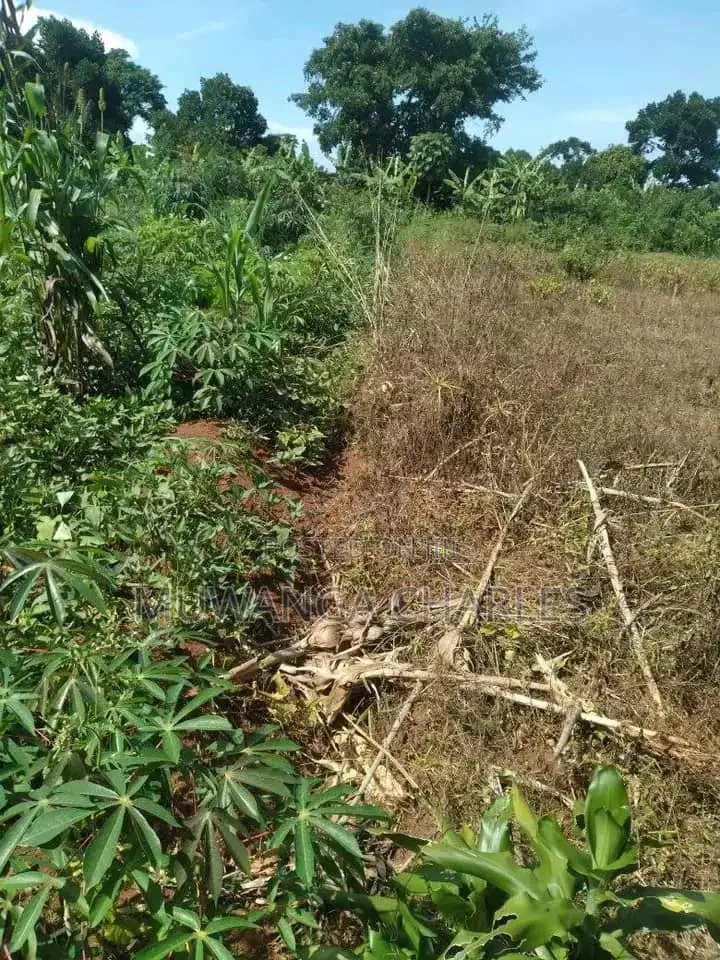 25decimals of Land for Sale in Kiwenda in Division B
