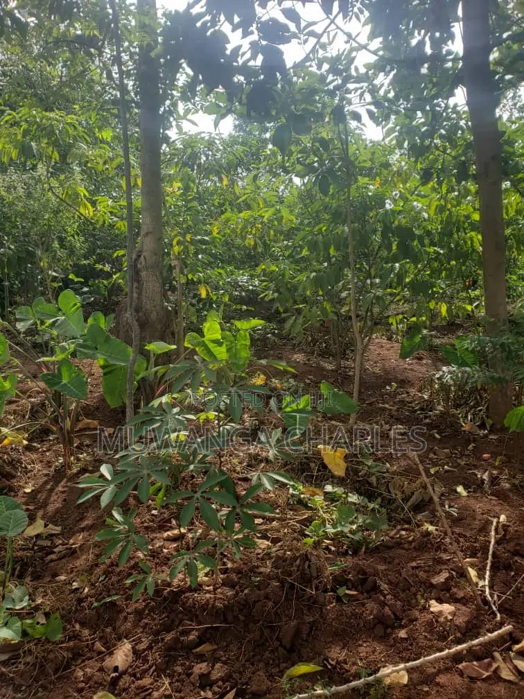 25decimals of Land for Sale in Kiwenda in Division B