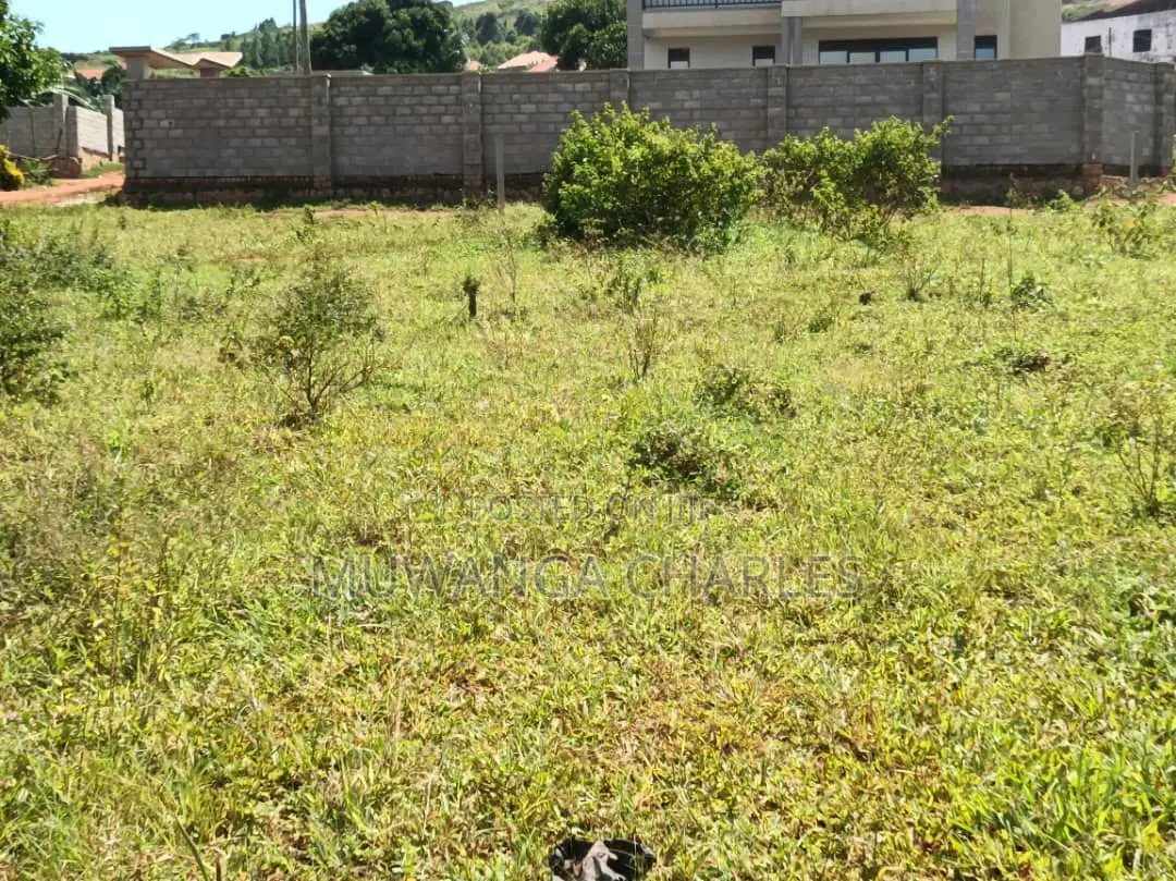 Plots for Sale in Mawule in Nangabo