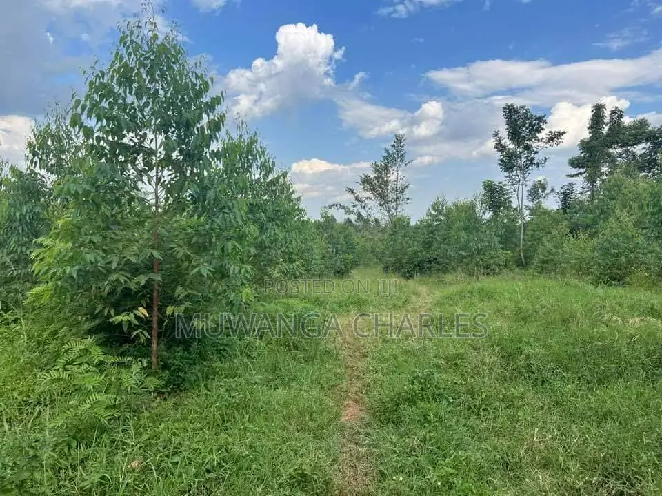 20acres for Sale in Nakasongola in Kakooge