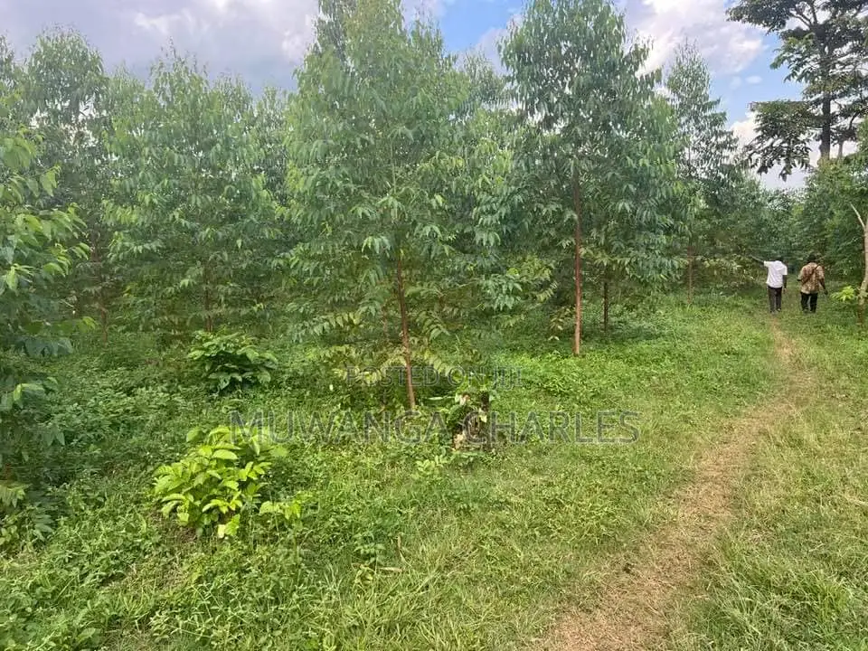 20acres for Sale in Nakasongola in Kakooge