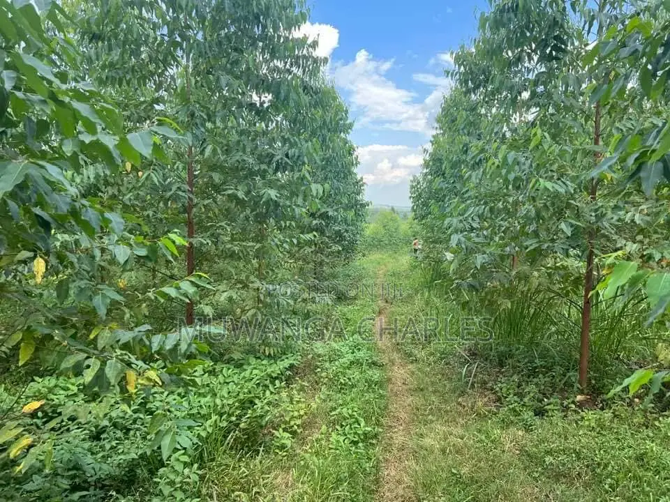 20acres for Sale in Nakasongola in Kakooge