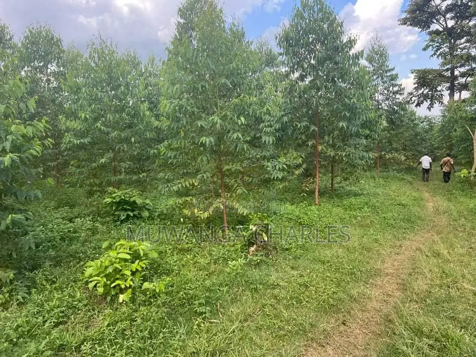 20acres for Sale in Nakasongola in Kakooge