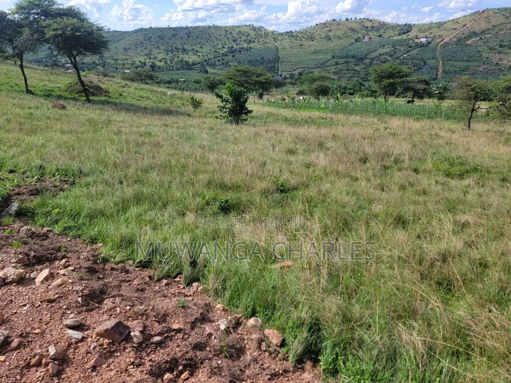 50decimals of for Sale in Kisaasi in Nakawa