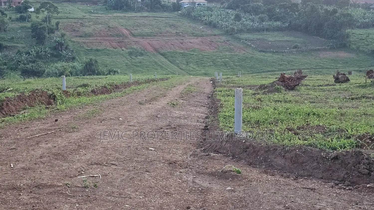 Genuine Titled Prime Plots for Sale at Wakiso Namusera in Wakiso / Wakiso