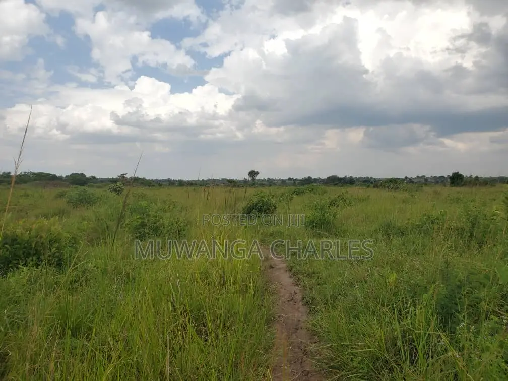 50acres of Land for Sale in Kabunyata in Nakasongola TC