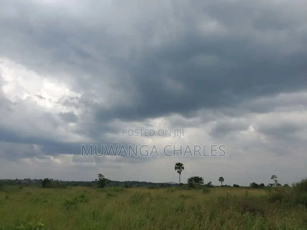 50acres of Land for Sale in Kabunyata in Nakasongola TC