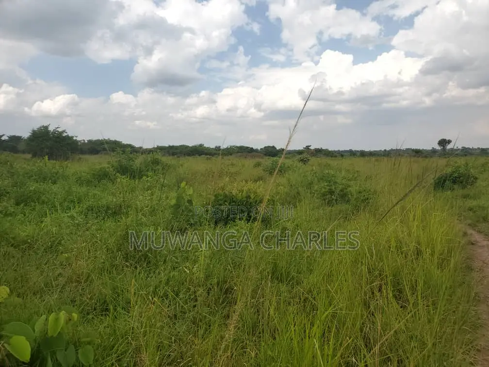 50acres of Land for Sale in Kabunyata in Nakasongola TC