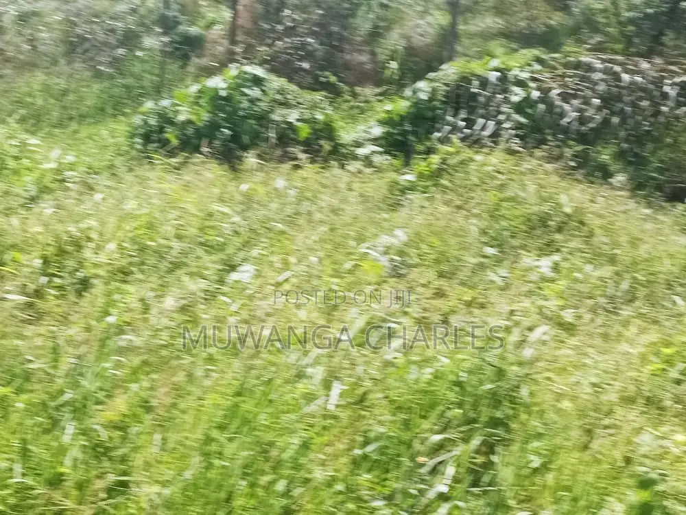 Plot for Sale in Busika in Division B