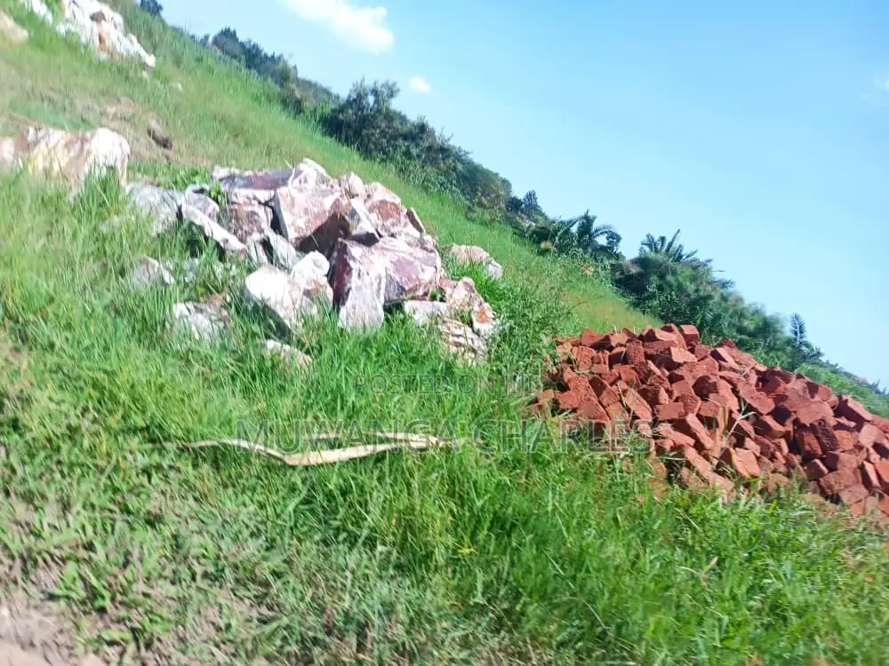 Plot for Sale in Busika in Division B